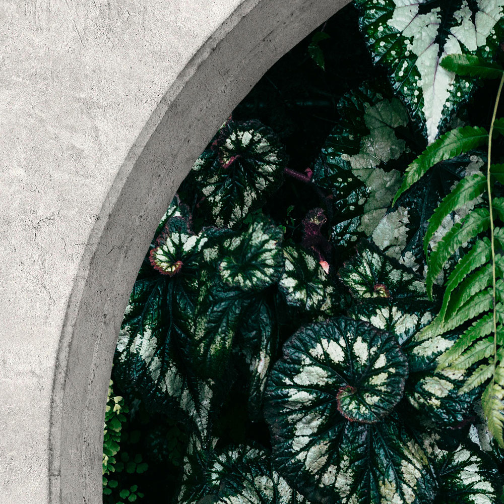             Deep Green 1 - Muurschildering raam rond met jungle planten
        