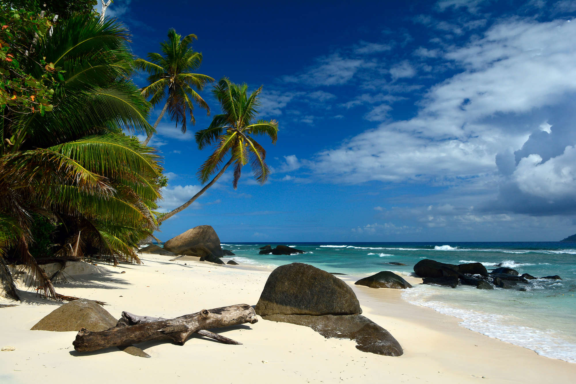             Papier peint panoramique Seychelles Palmiers & plage sur intissé lisse premium
        