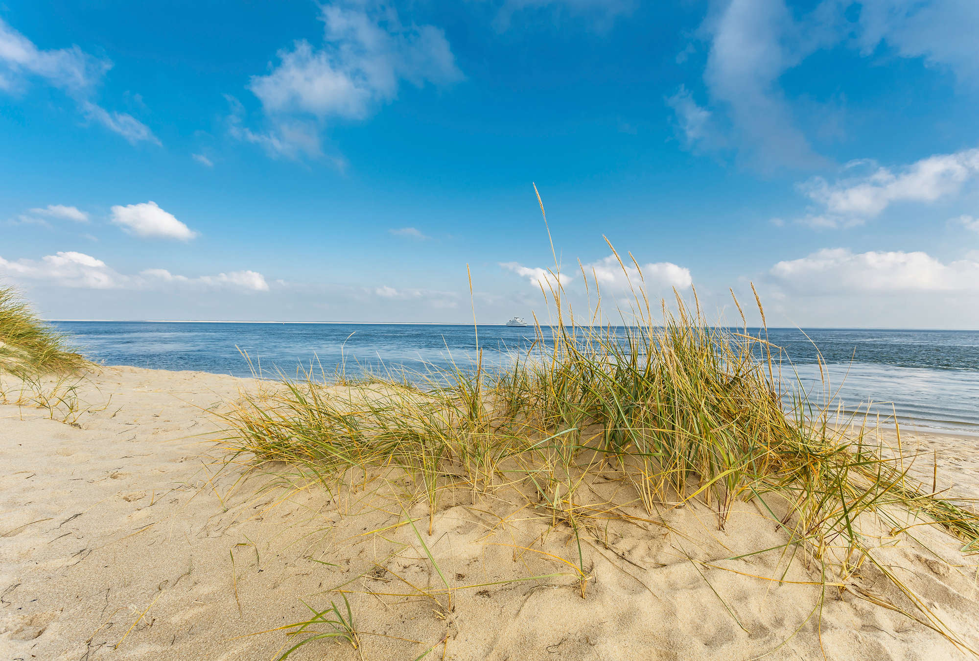             Papier peint Paysage côtier avec plage de dunes
        