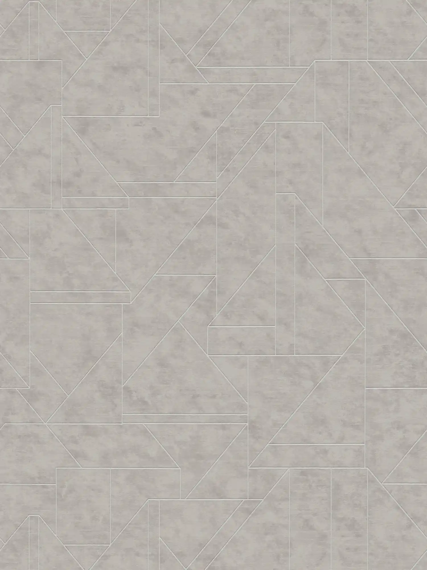             Grafisch vliesbehang met lijnenspel - grijs, zilver
        