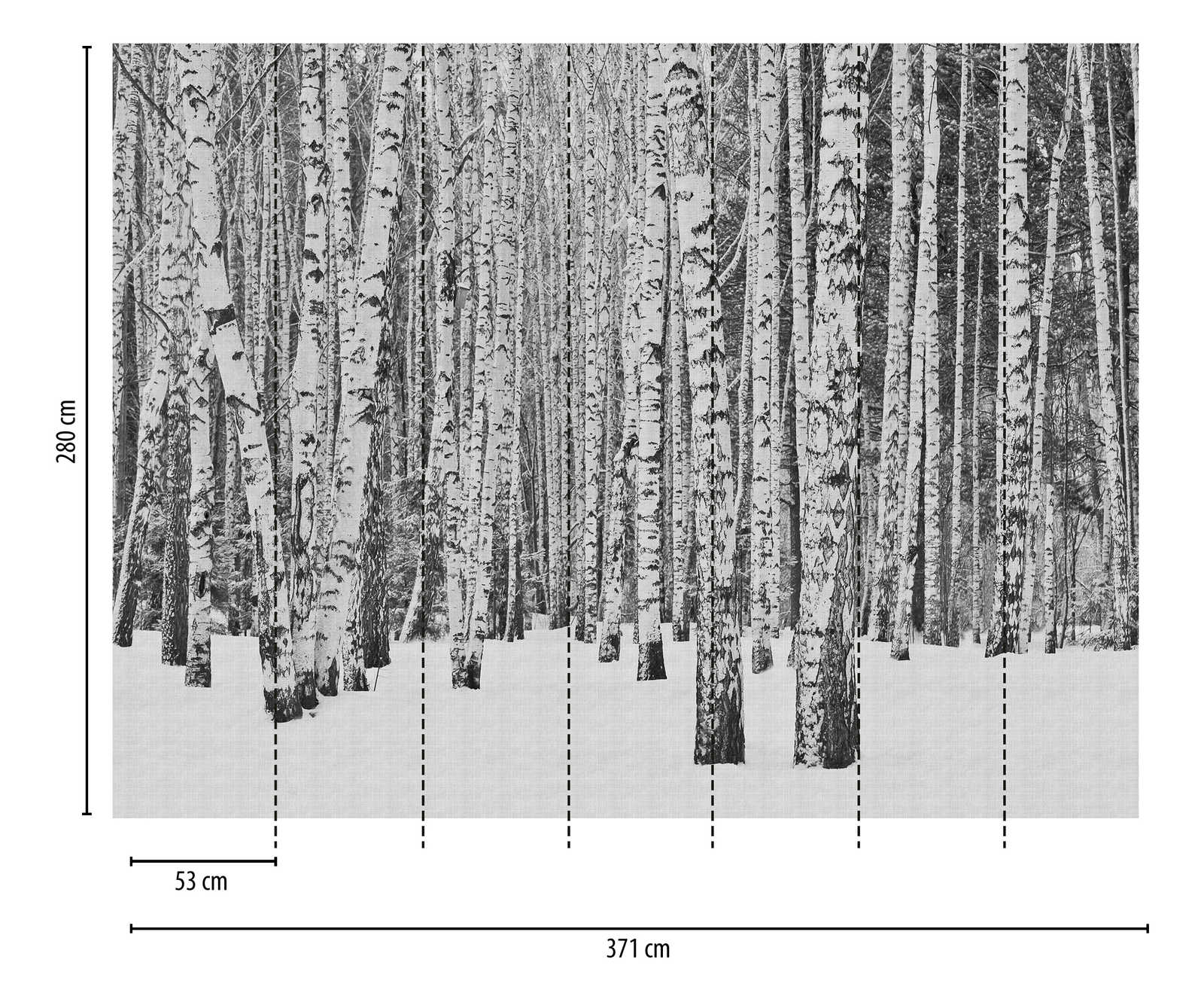             Papier peint Nouveauté | papier peint à motifs forêt de bouleaux dans la neige, noir et blanc
        