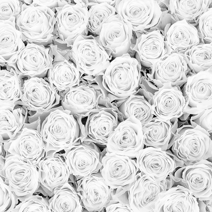 Plants mural white roses on matt smooth fleece
