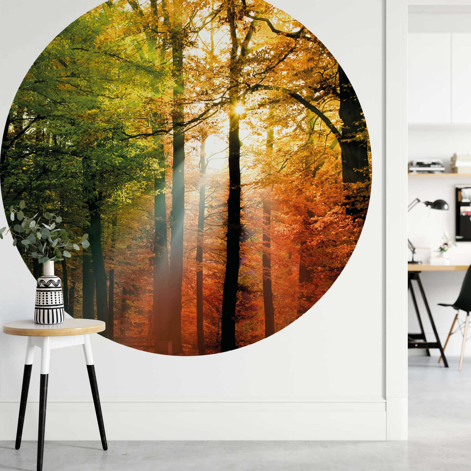             Round photo wallpaper forest and sunshine
        