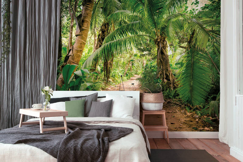             Sendero de palmeras por un paisaje tropical - Verde, marrón
        