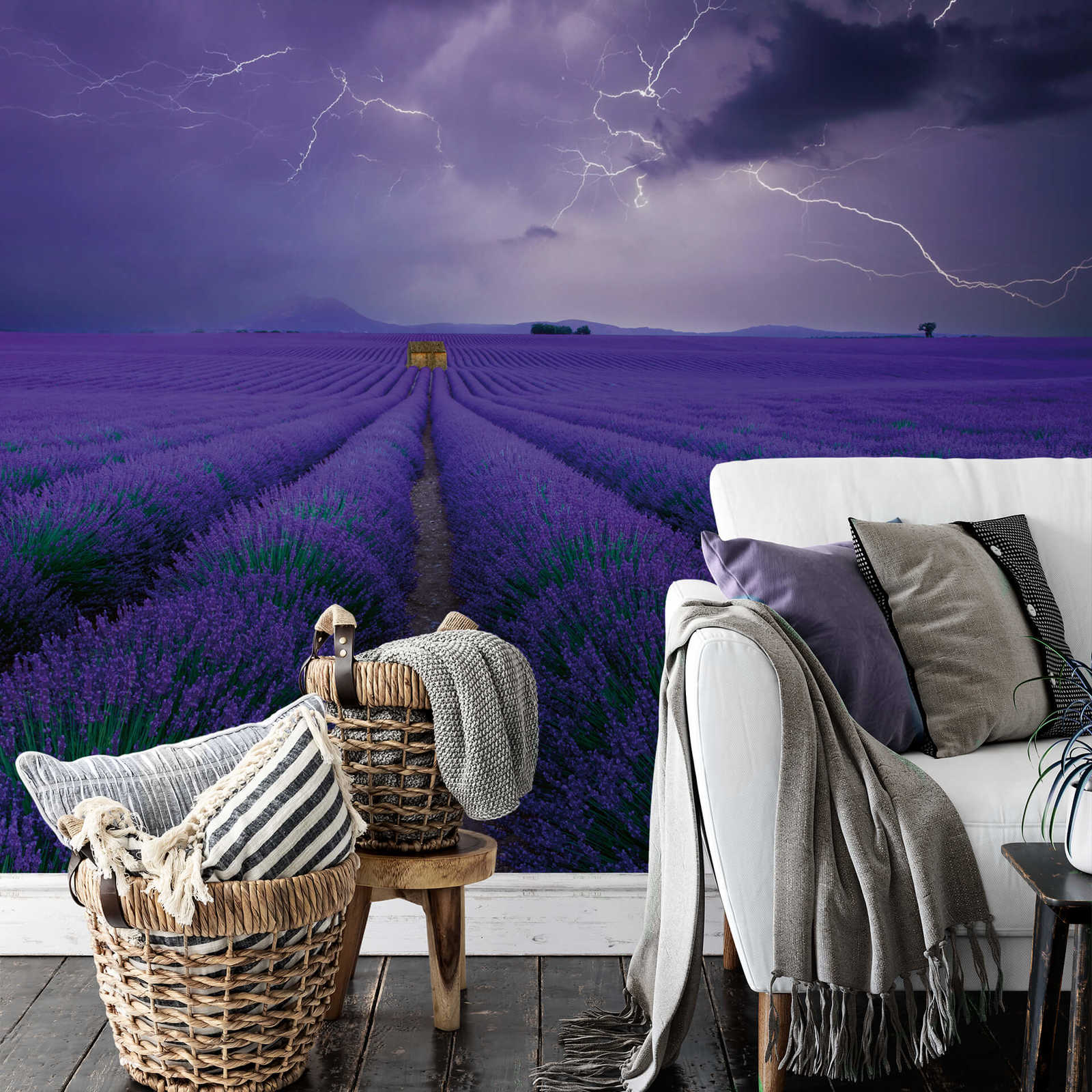             Photo wallpaper lavender field - purple, green, brown
        
