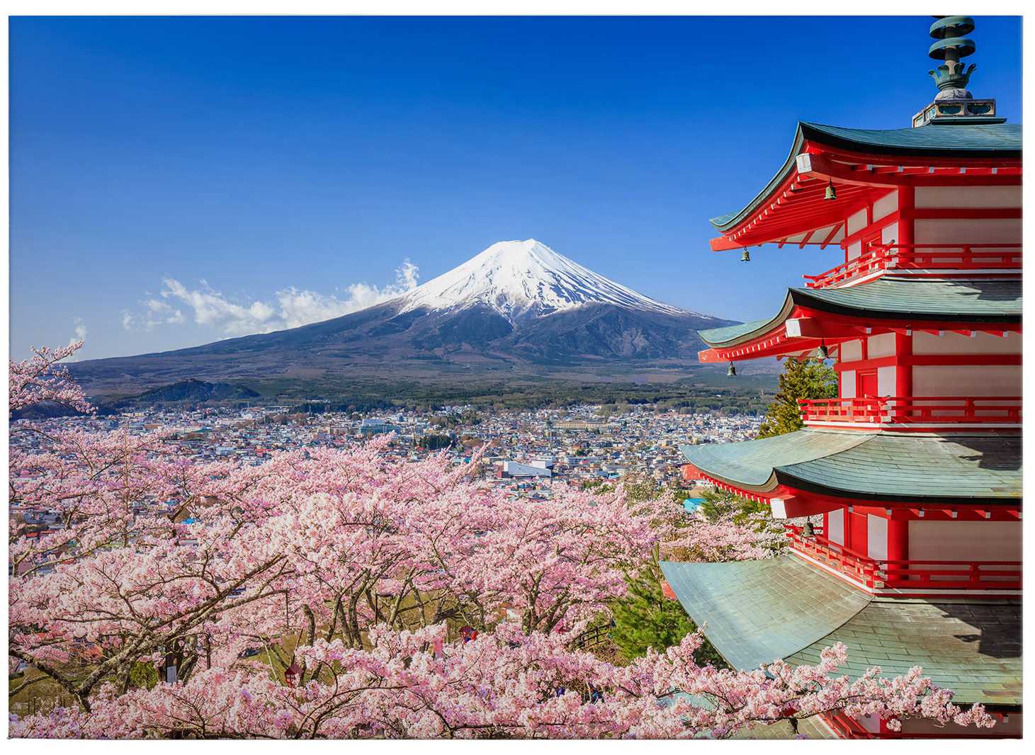             Fujiyama canvas print with cherry blossoms and pagoda
        