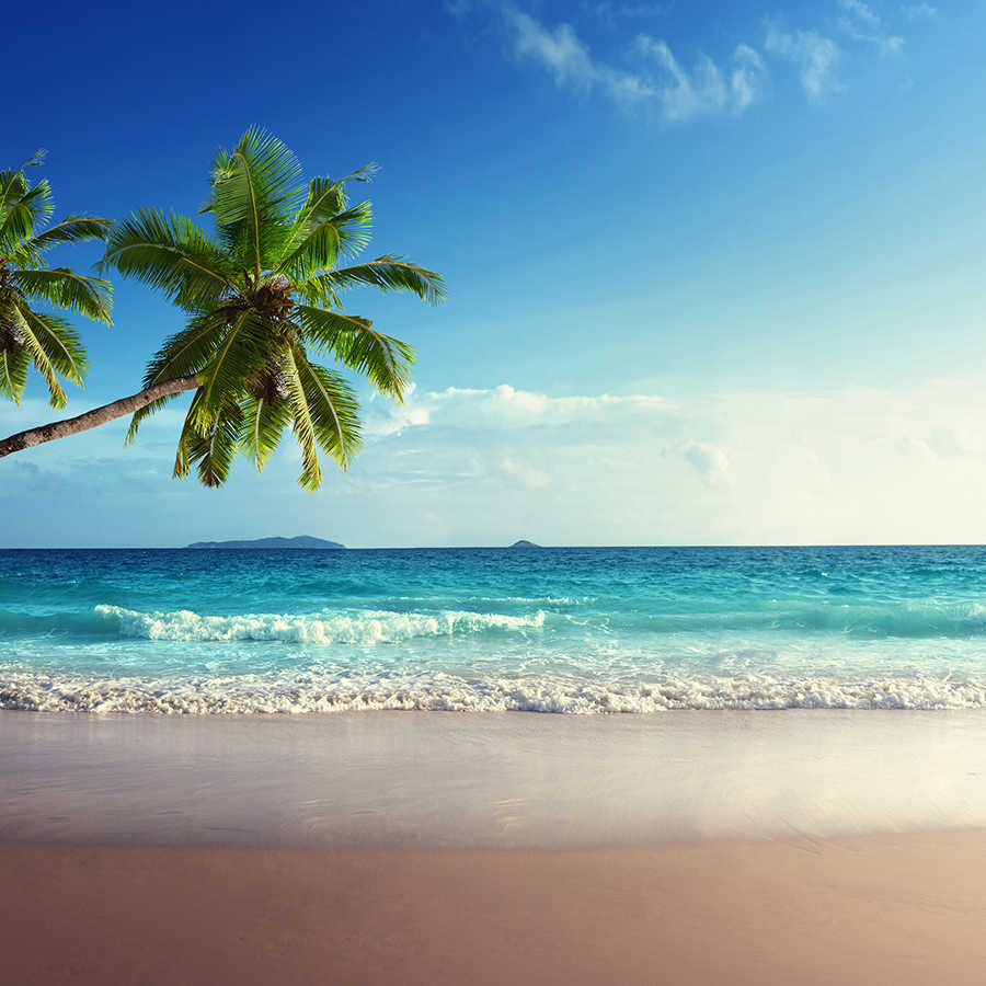 Strand Behang Twee Palmbomen aan de Kust op Mat Glad Vlies
