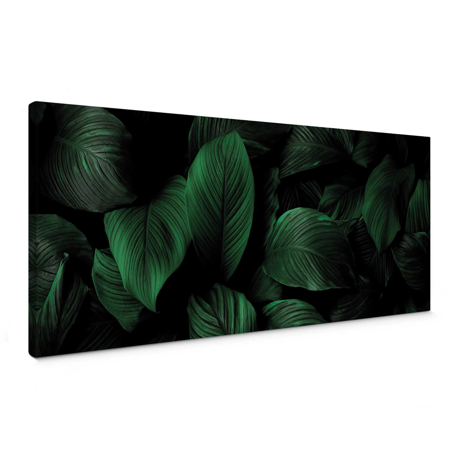 Panorama canvas print with leaf optics in green, black
