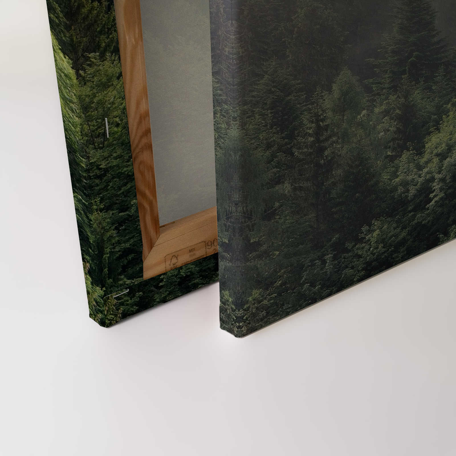             Canvas with forest from above on a foggy day - 0.90 m x 0.60 m
        