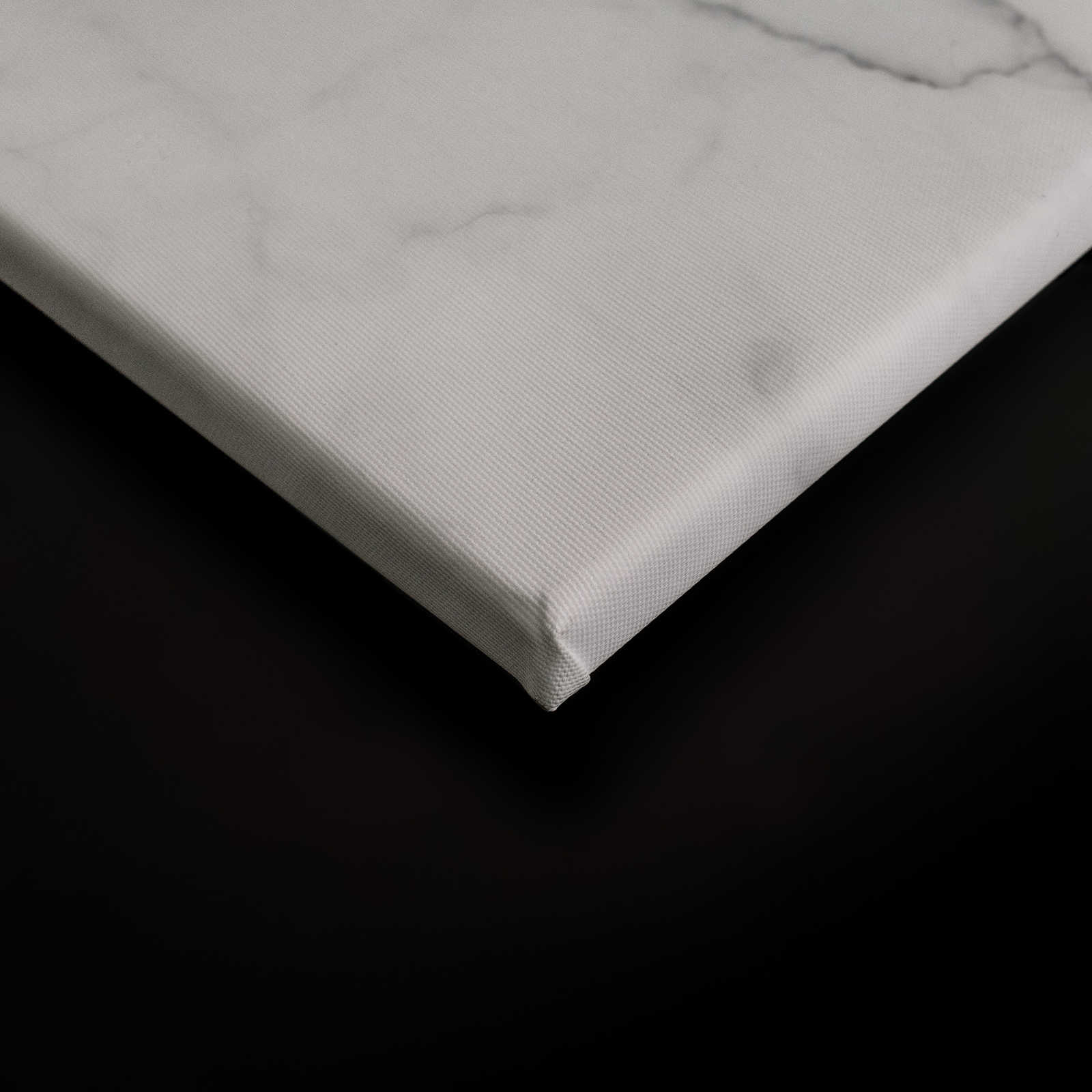             Lienzo con sutil aspecto de mármol - 0,90 m x 0,60 m
        