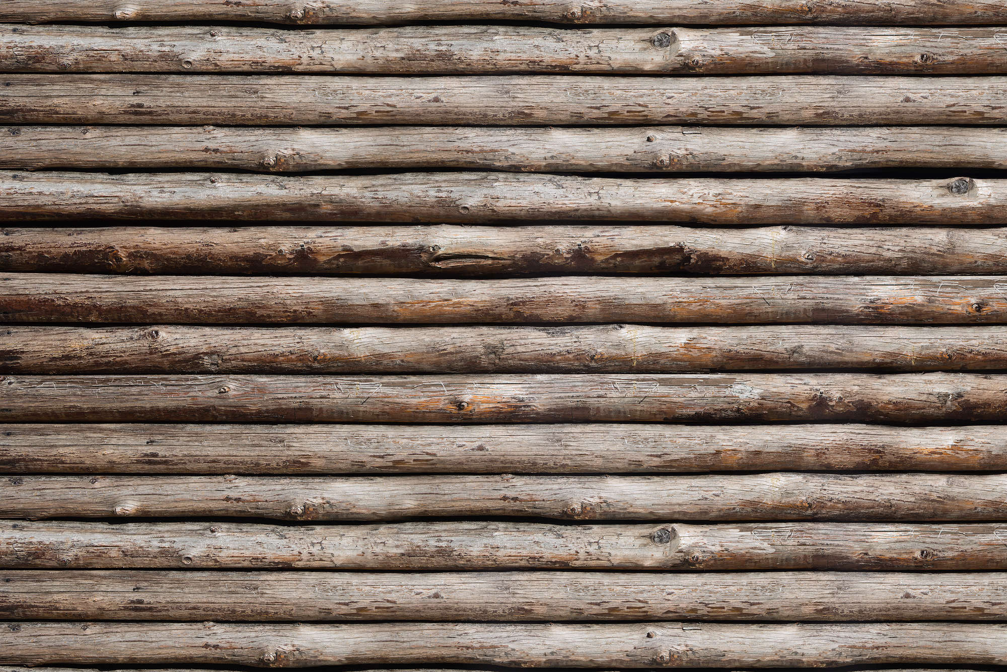             Mural de madera Cabañas de troncos en la pared sobre vellón liso de primera calidad
        