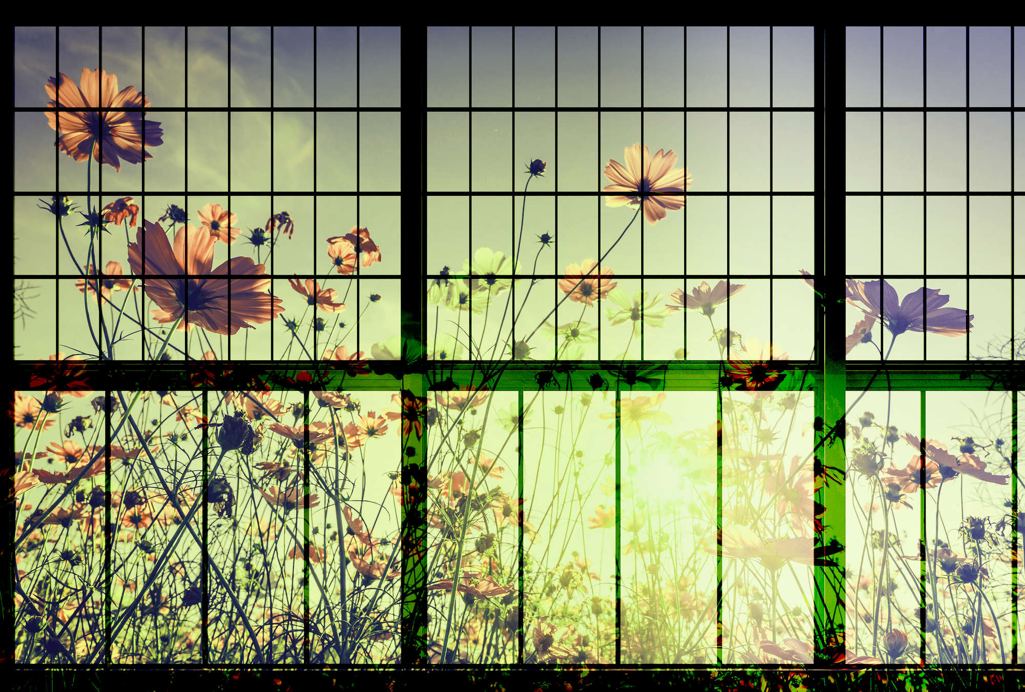             Meadow 2 - Muntin Window Wallpaper with Flower Meadow - Green, Pink | Matt Smooth Non-woven
        