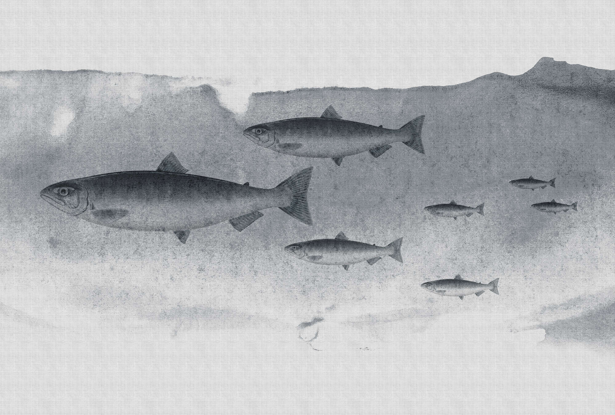             Into the blue 3 - Acuarela de peces en gris como papel pintado fotográfico en estructura de lino natural - Gris | Tela no tejida lisa Premium
        