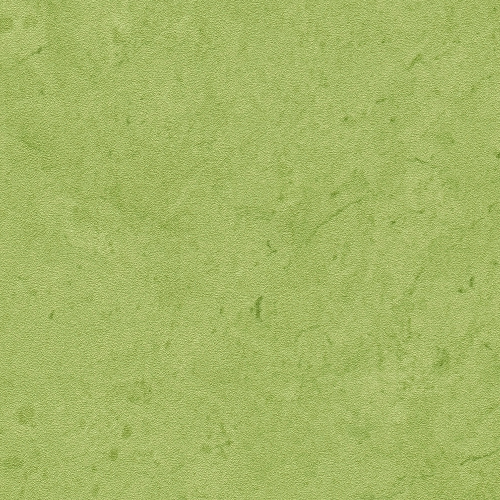             Kalkgroen betonlook behang - groen
        