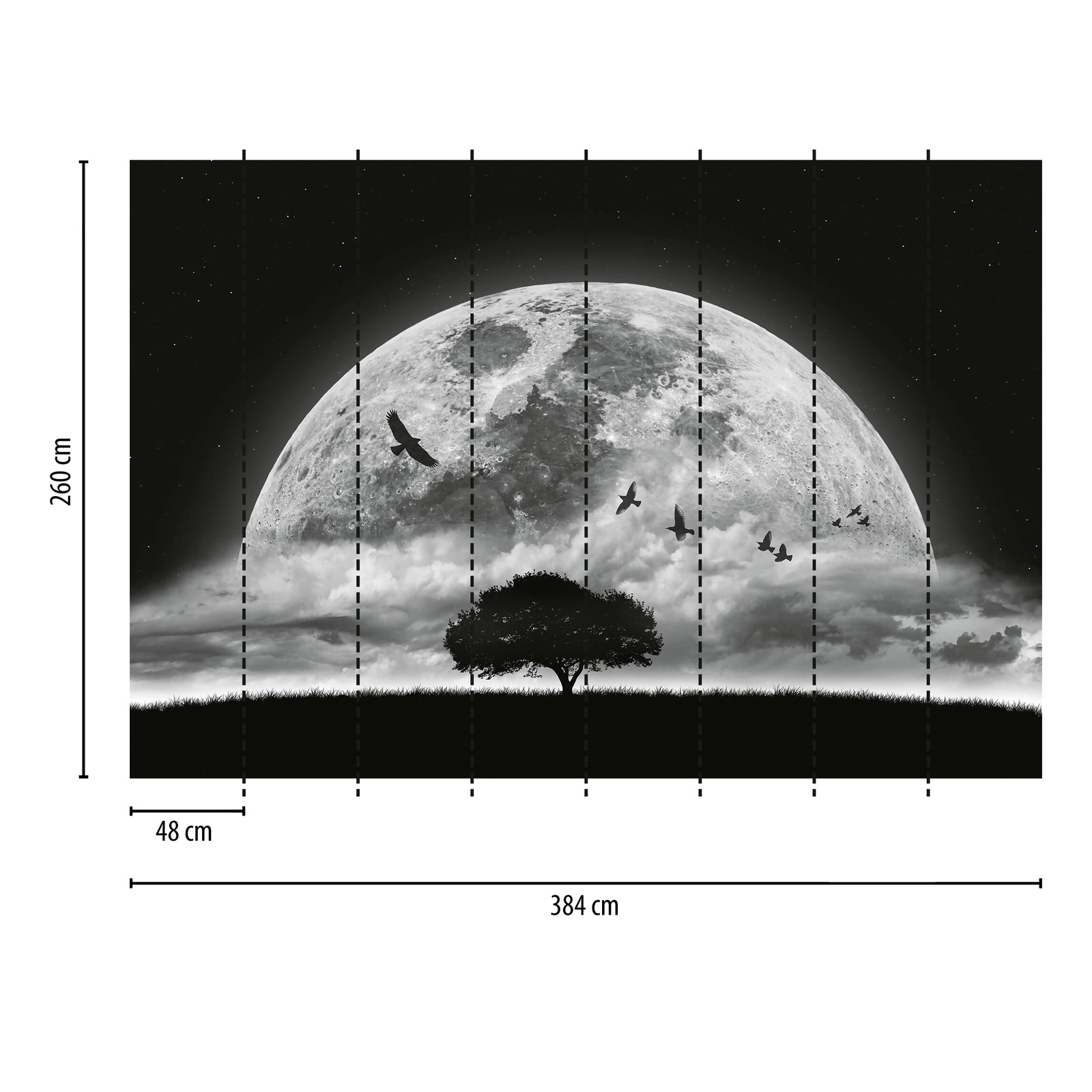             Photo wallpaper Moon and Birds - Black, White
        