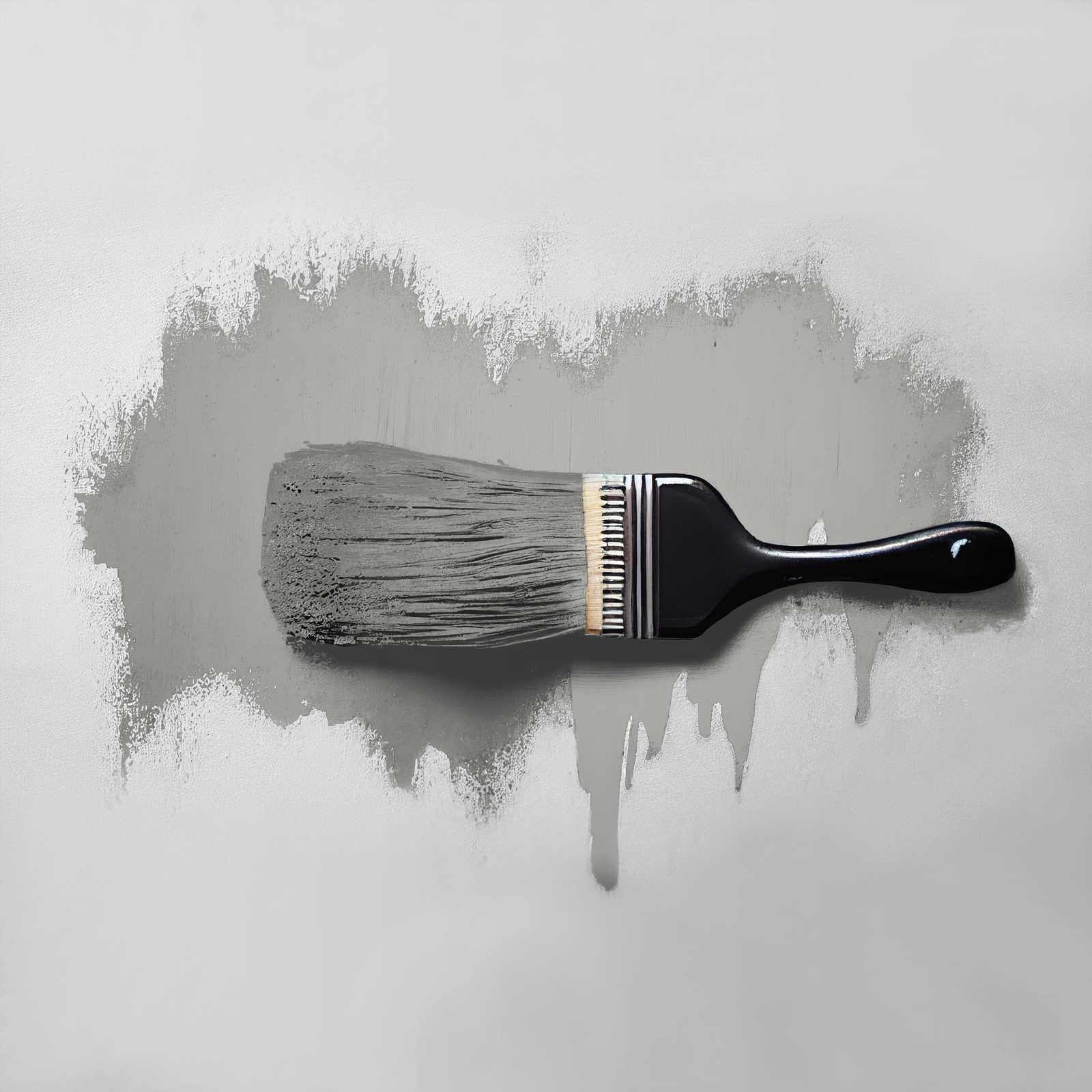             Wall Paint TCK1010 »Grey Salt« in neutral grey – 5.0 litre
        