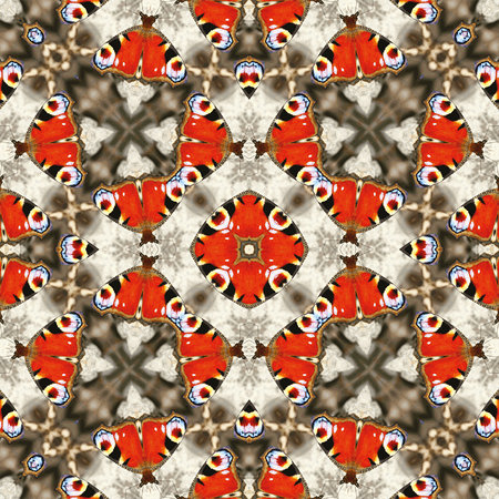         Photo wallpaper with butterfly & kaleidoscope effect
    