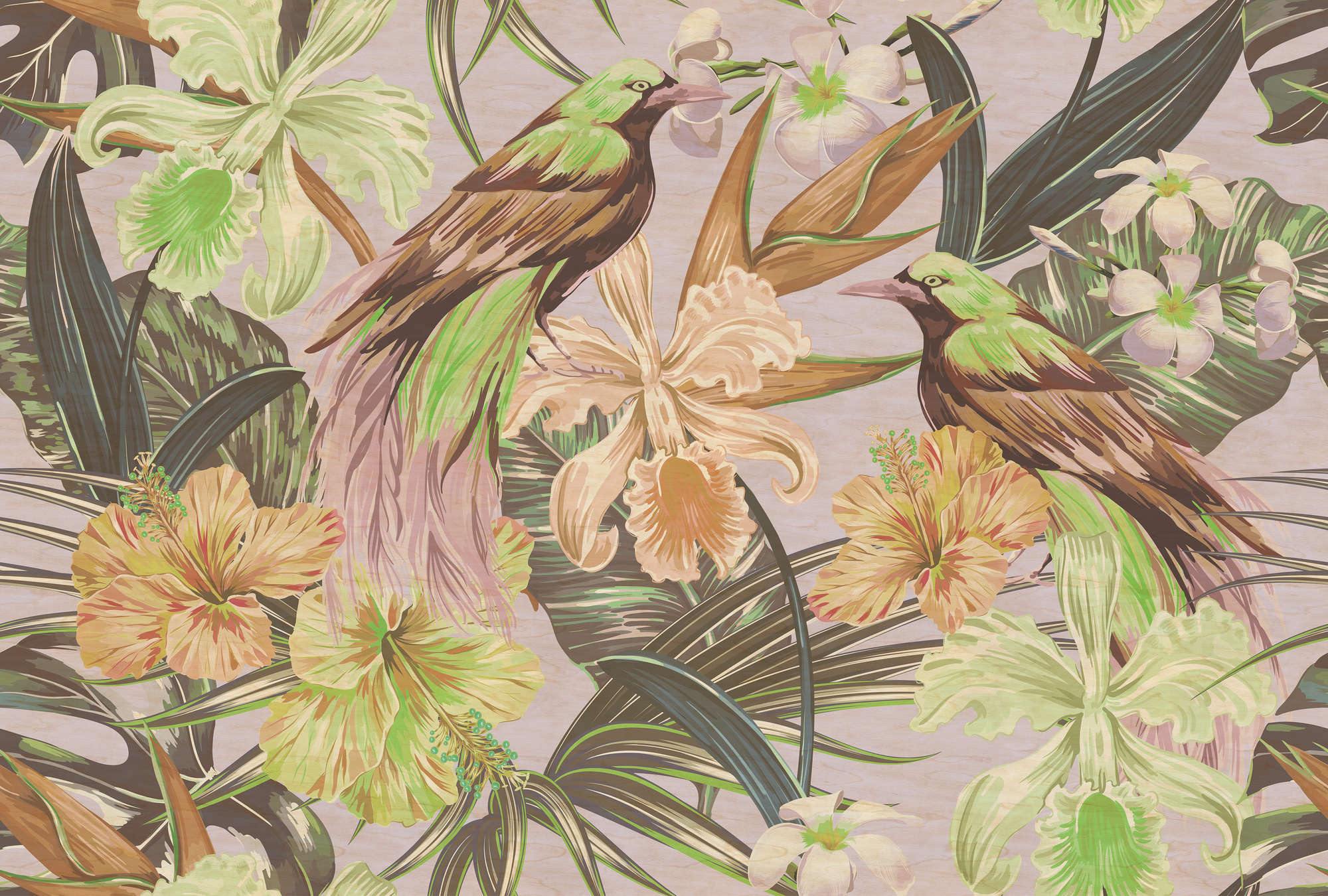             Exotic birds 2 - Papier peint oiseaux exotiques & plantes- texture grattée - beige, vert | Premium intissé lisse
        