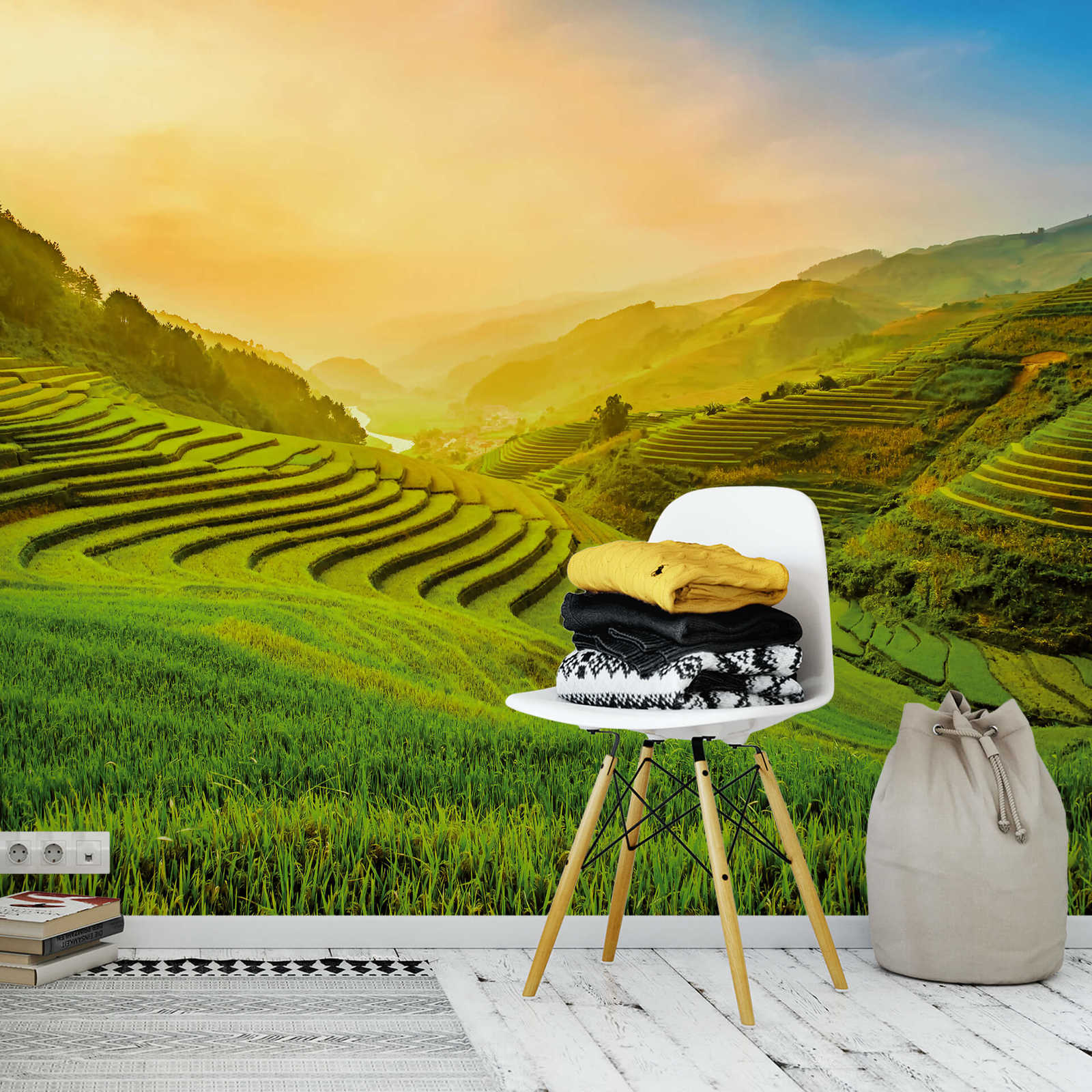             Vietnam rice fields at sunrise mural
        
