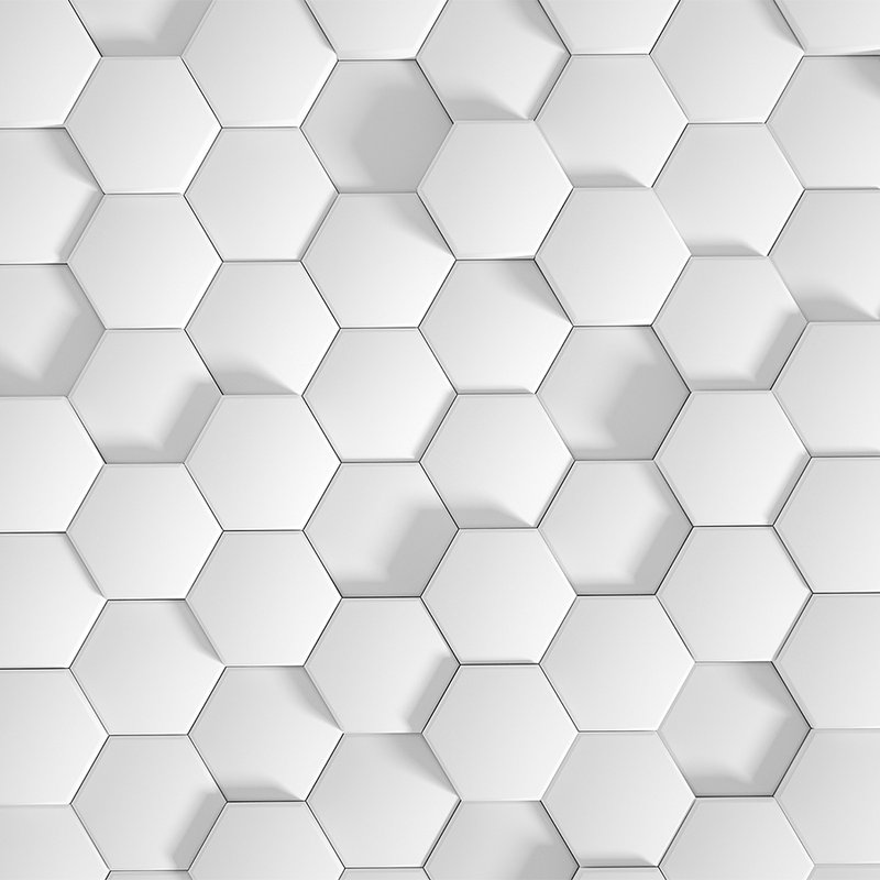         Honeycomb Pattern with 3D Optics Wallpaper - Grey
    