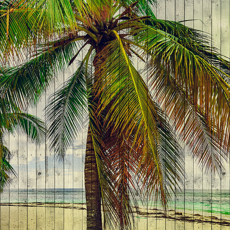 Tahiti 3 - Palmboom muurschildering met vakantiegevoel - houten paneelstructuur - Beige, Blauw | Premium gladde fleece
