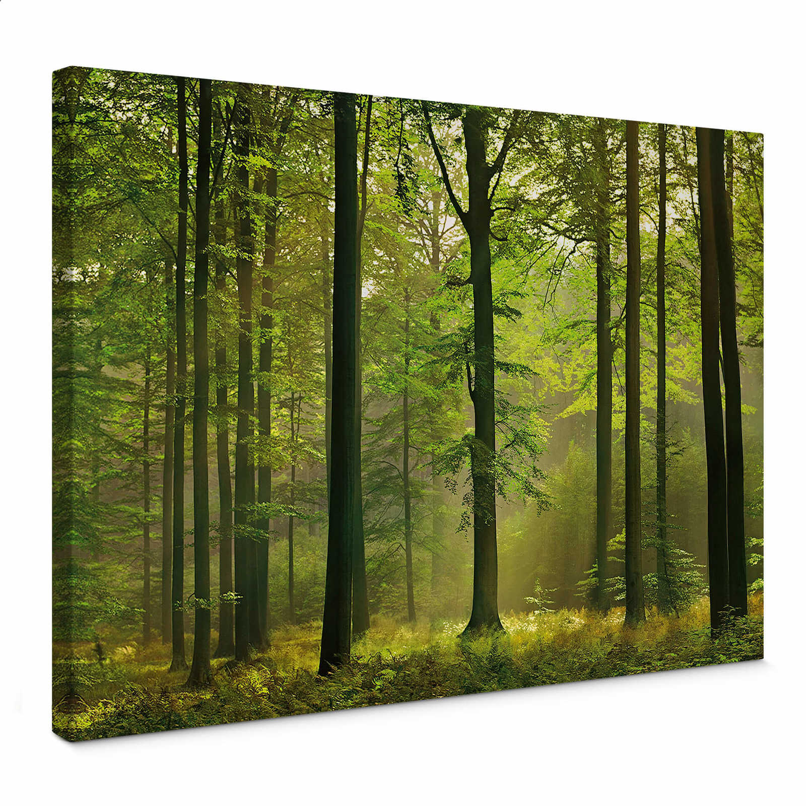 Canvas print forest motif autumn leaves – green
