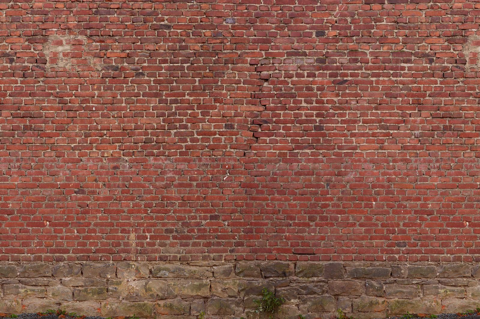            Toile mur de briques rouges - 0,90 m x 0,60 m
        