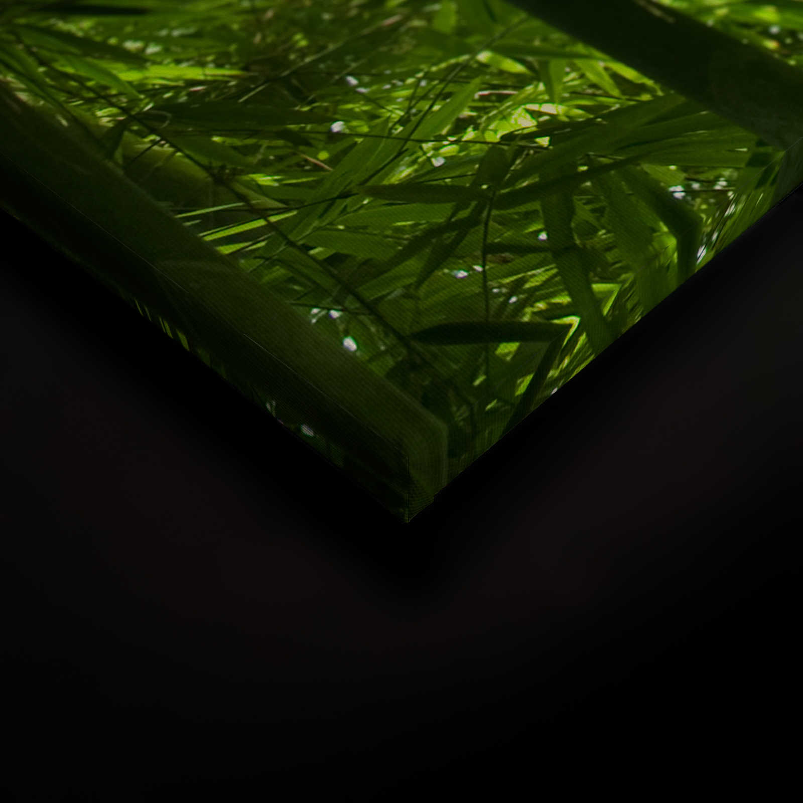             Quadro su tela Bambù e foglie - 1,20 m x 0,80 m
        