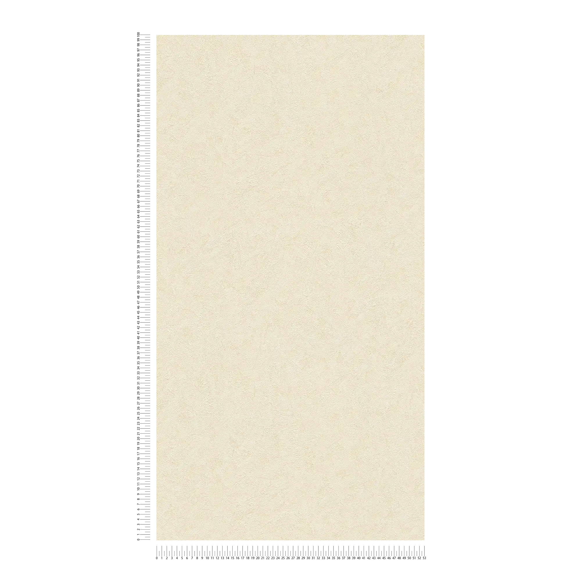             Carta da parati a tinta unita con struttura in gesso e sfumature di colore - beige, crema
        