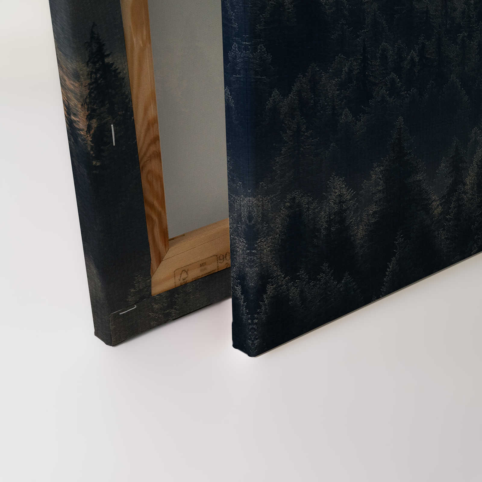             Cuadro en lienzo con paisaje forestal sobre óptica de estructura de lino - 0,90 m x 0,60 m
        