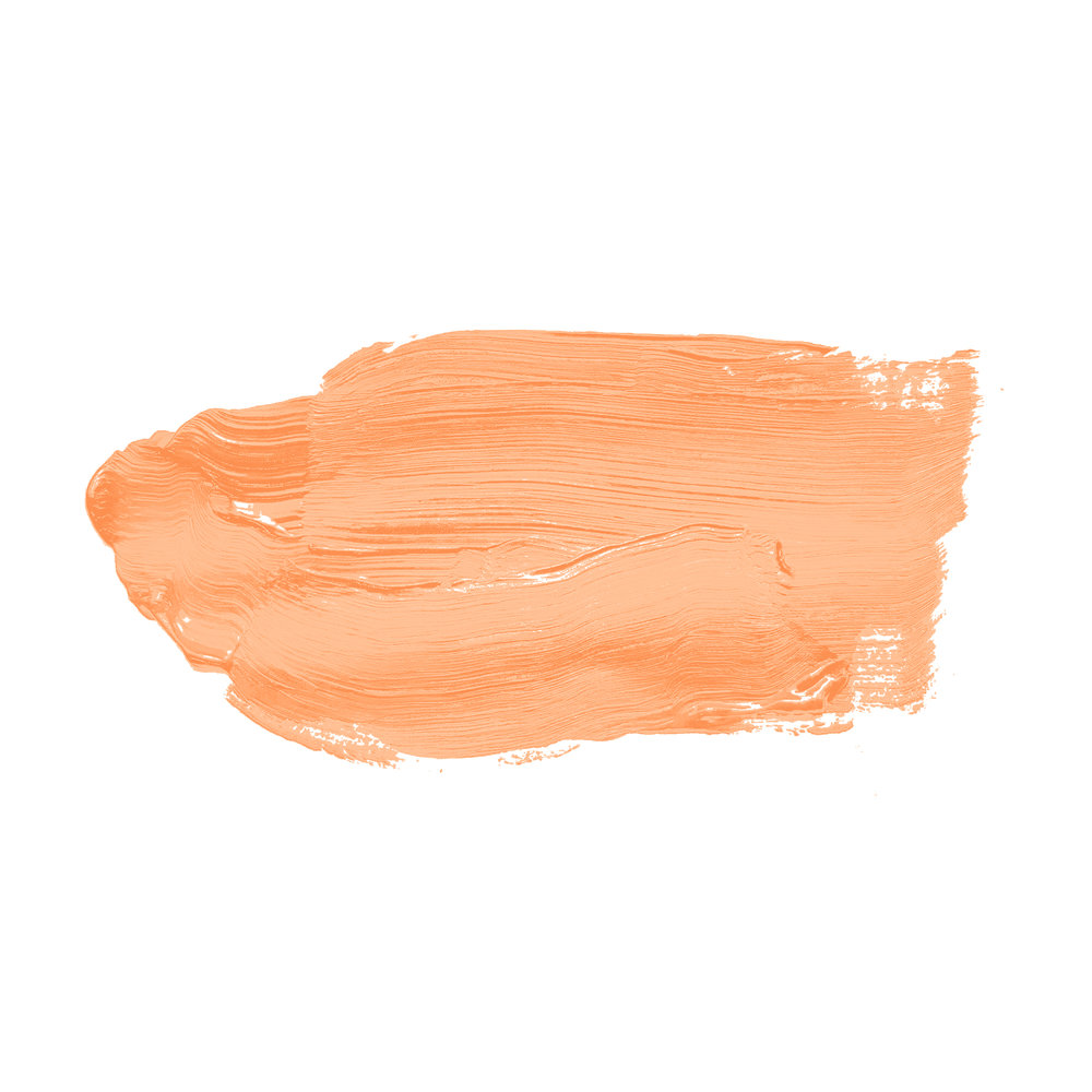             Pittura murale TCK5010 »Pure Papaya« in arancione brillante – 5,0 litri
        