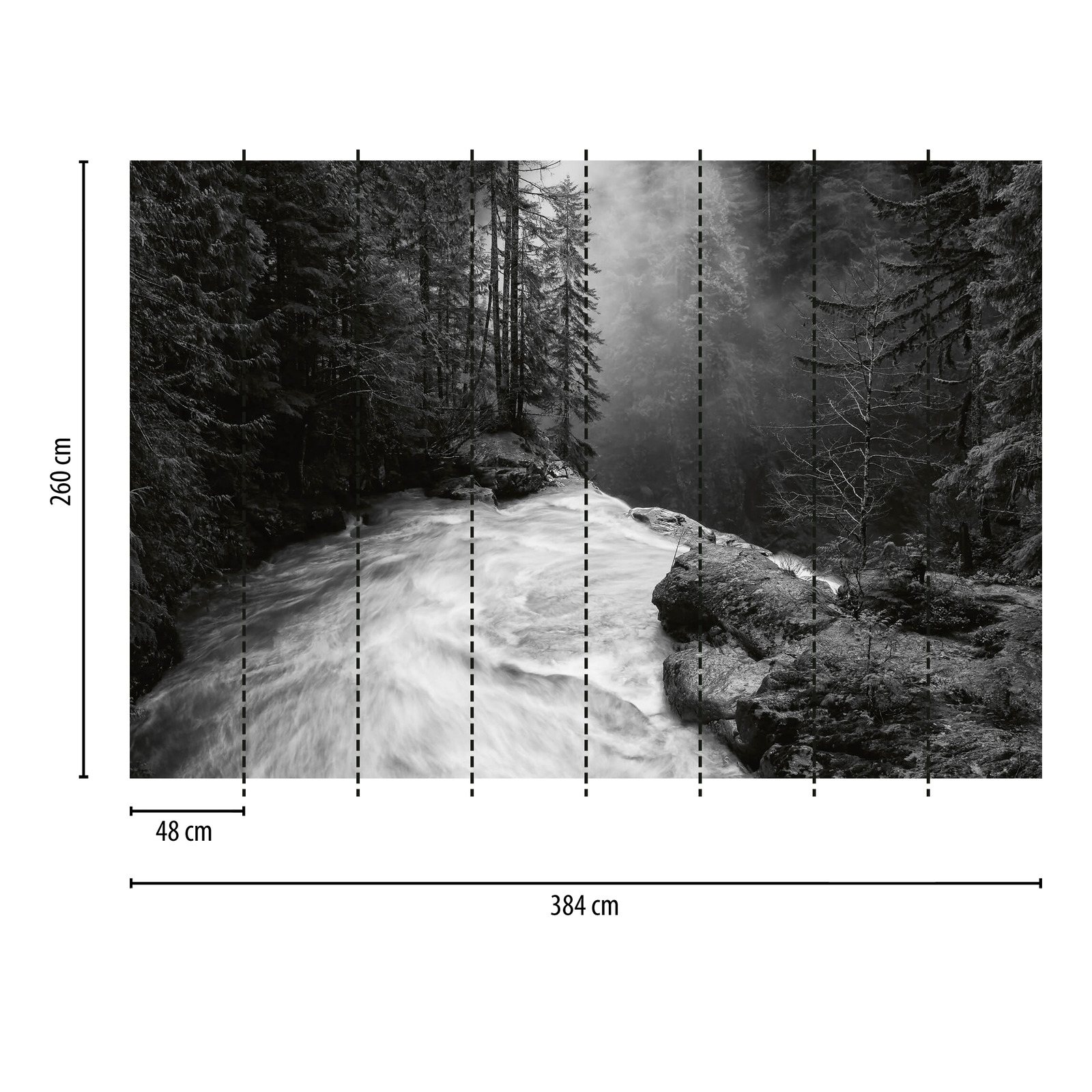             Fotomurali Foresta con cascata - Nero, bianco, grigio
        