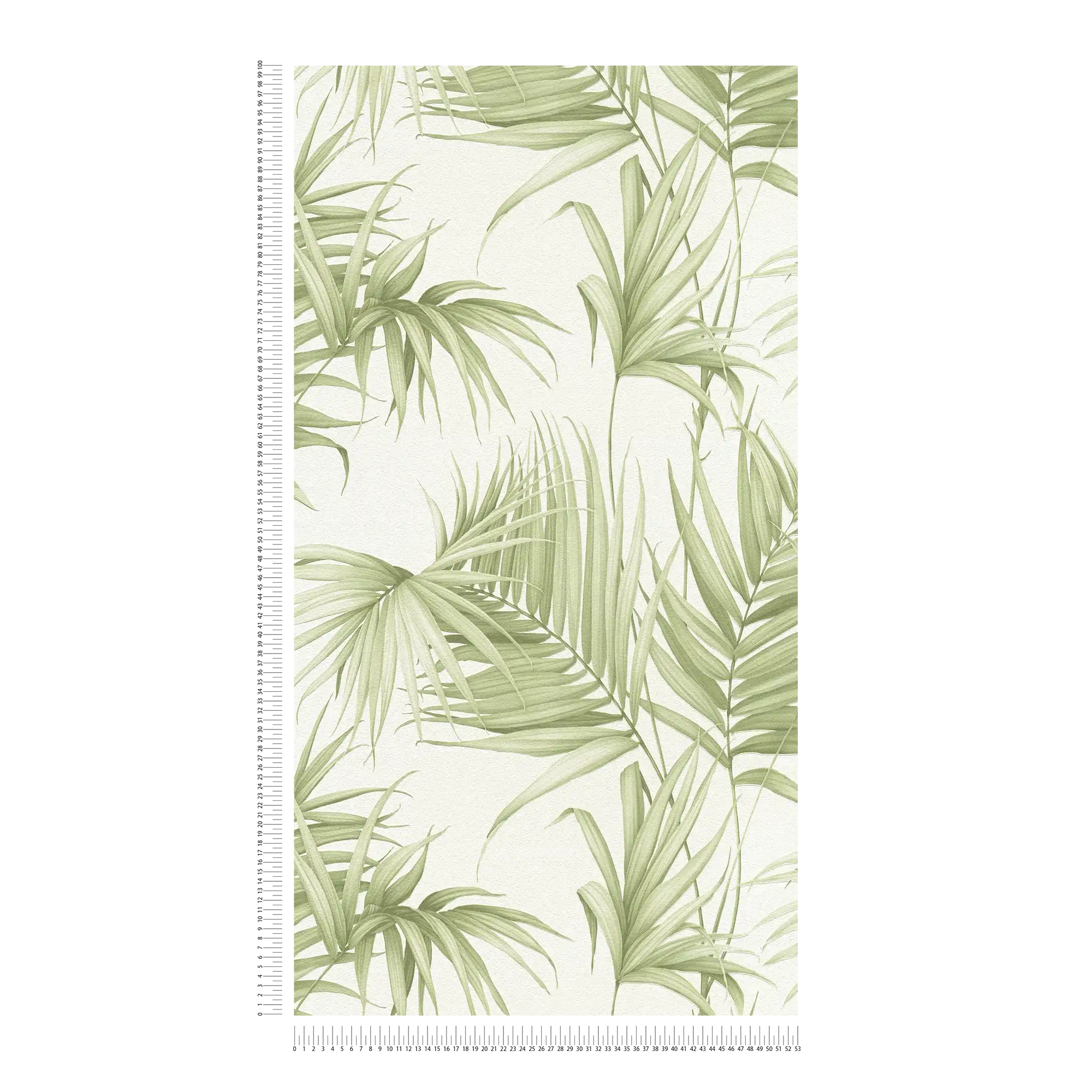             Feuilles papier peint avec des feuilles de fougères exotiques - vert, blanc
        