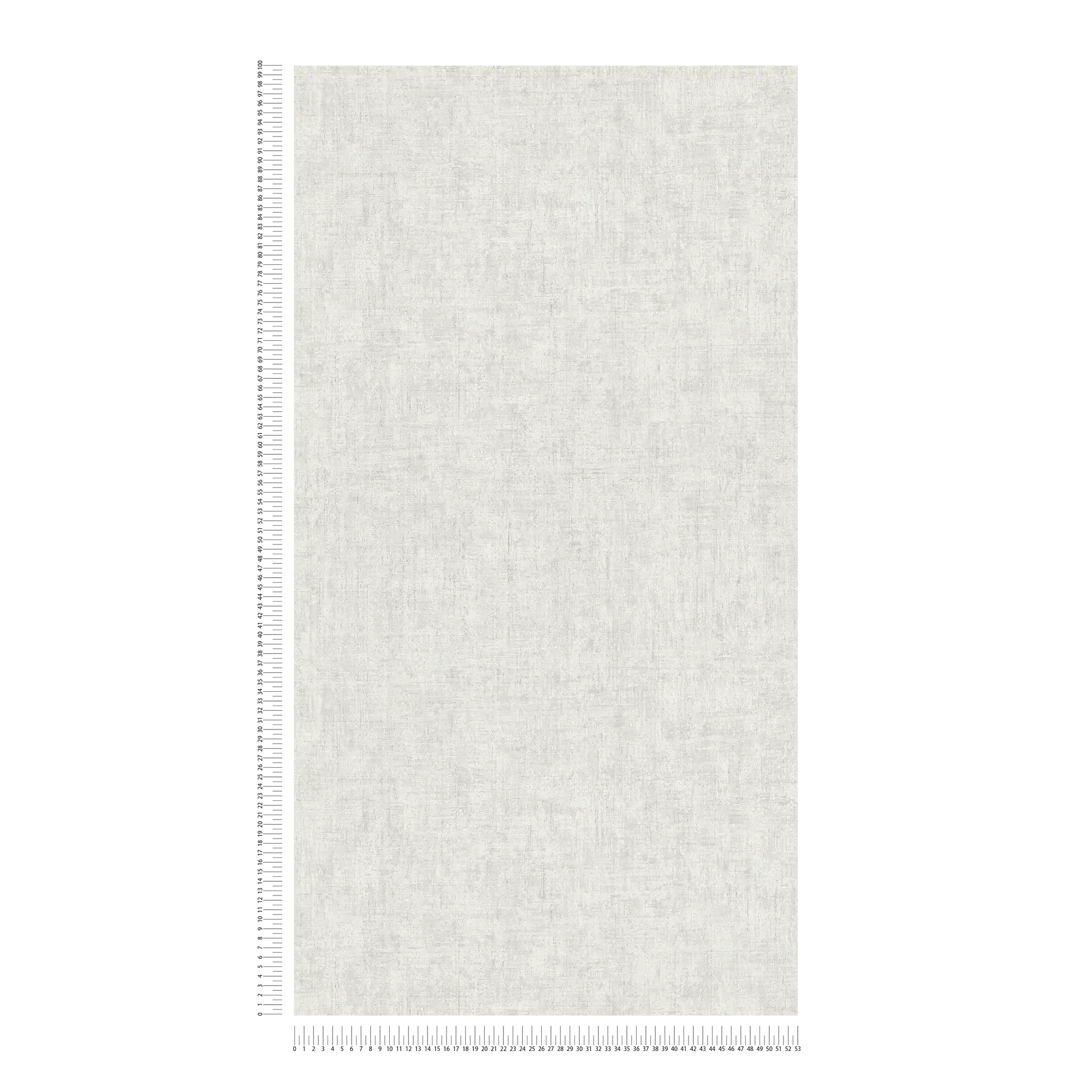             Papier peint uni gris clair avec aspect crépi rustique dans un design vintage
        