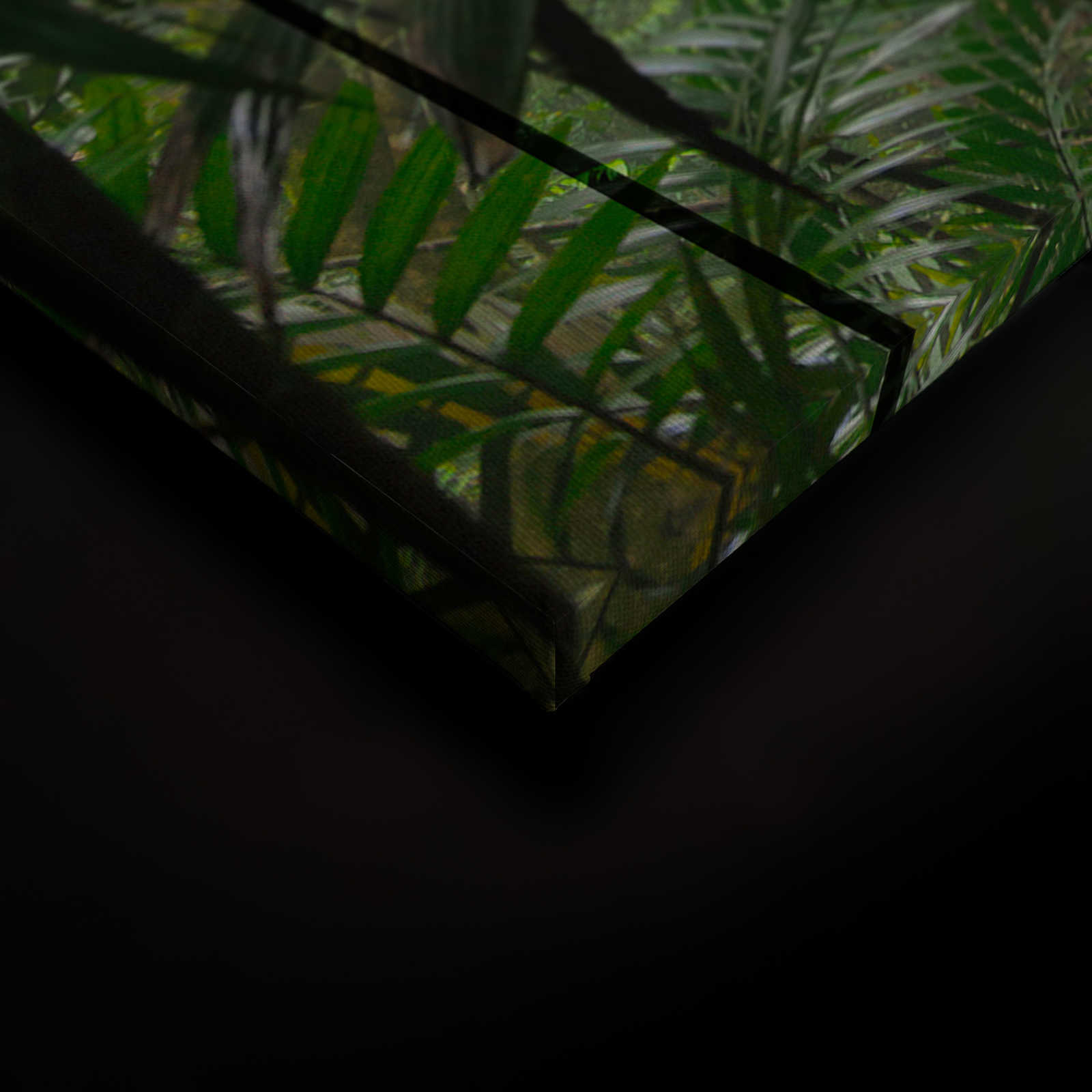            Rainforest 1 - Pintura sobre lienzo con vista a la selva desde la ventana del desván - 0,90 m x 0,60 m
        
