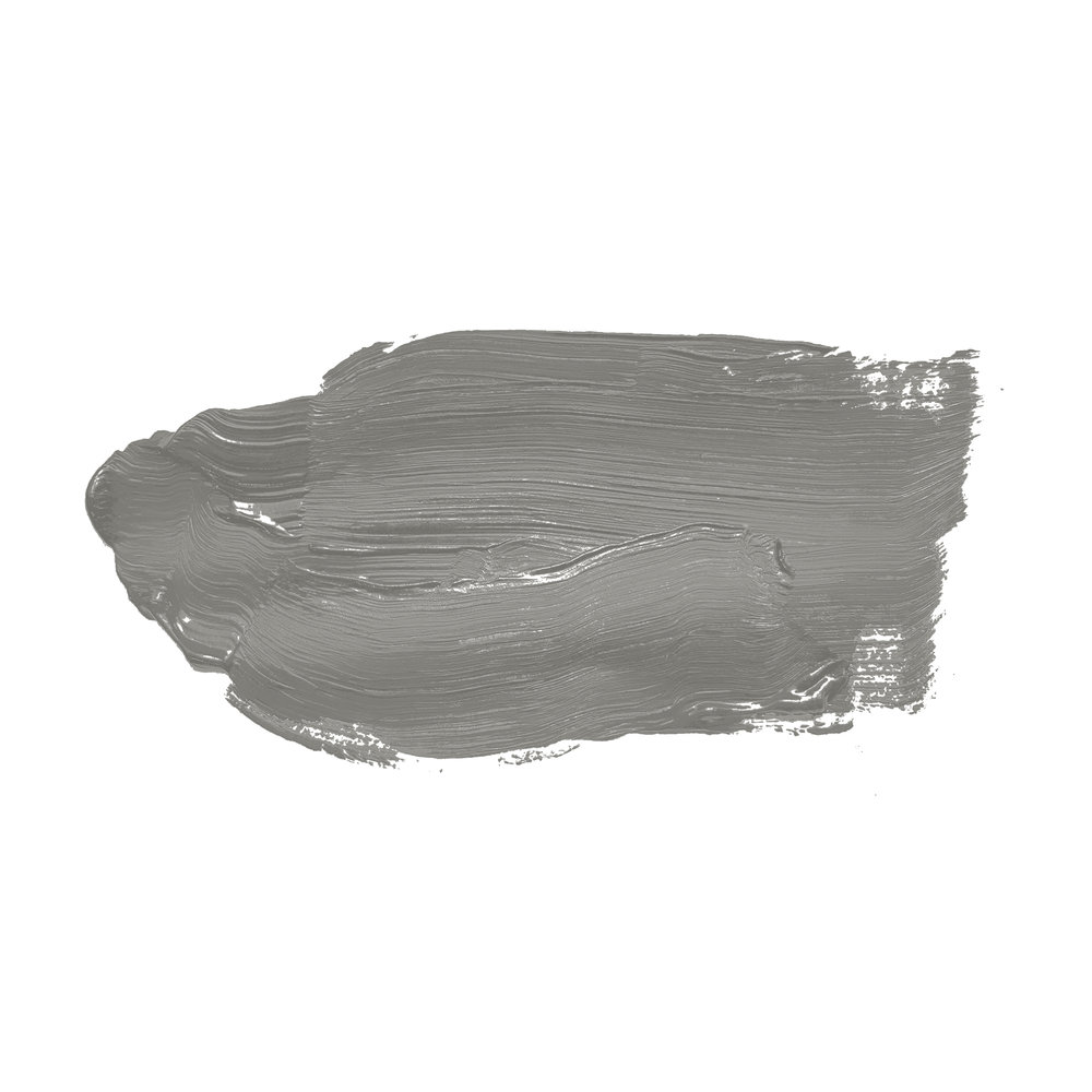             Peinture murale TCK1012 »Miraculous Mackerel« en gris verdâtre – 2,5 litres
        