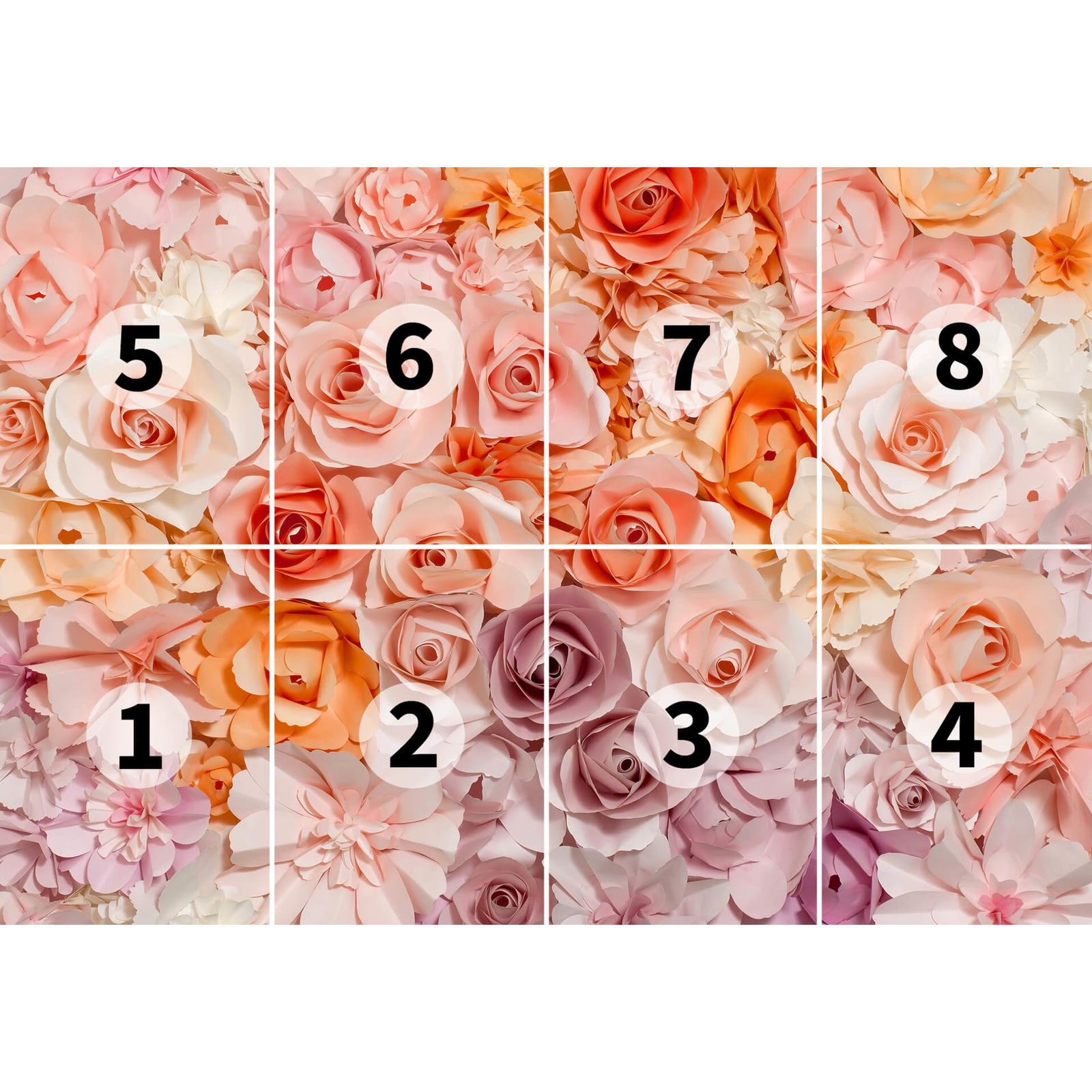             Carta da parati fotografica 3D con motivo a petali di rosa - Rosa, bianco
        