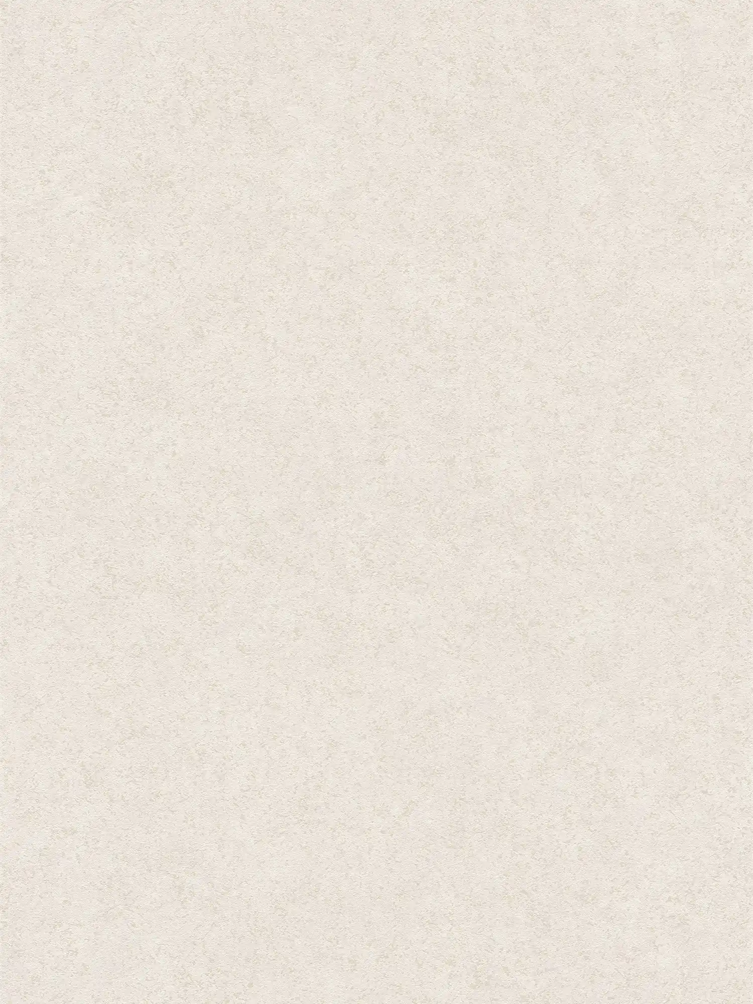 Matt non-woven wallpaper with plaster look - beige, white
