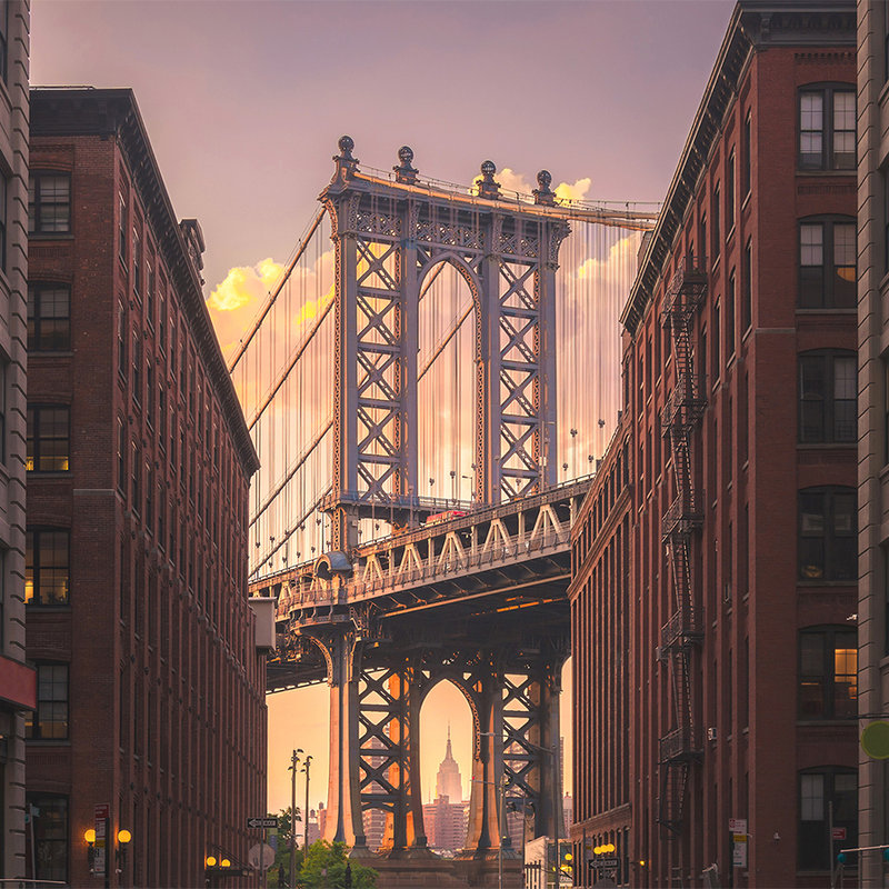         Brooklyn Bridge from street view - Brown, Grey
    