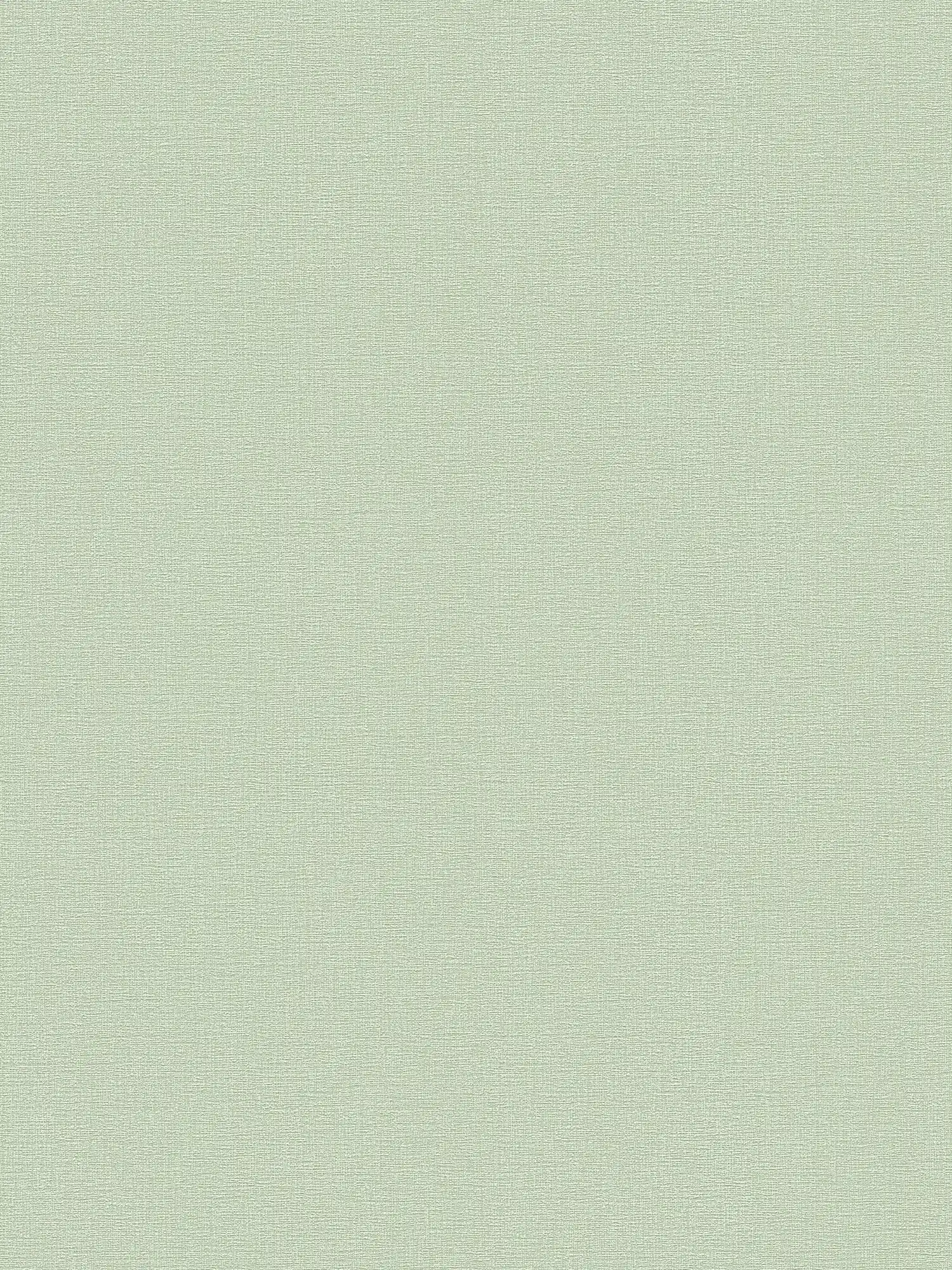 Carta da parati in stile naturale, tinta unita con motivo a trama - verde, bianco
