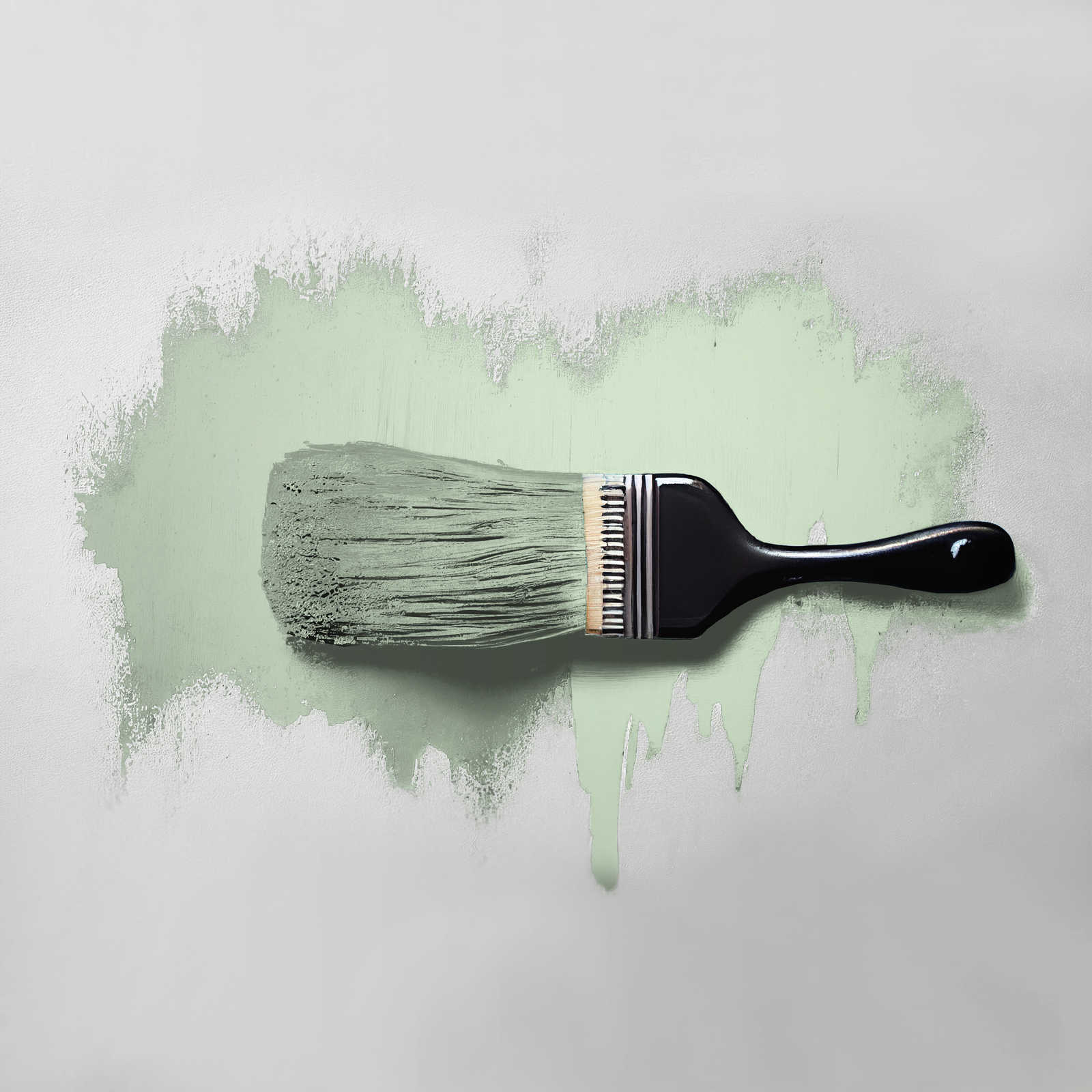             Pittura murale TCK4007 »Woodruff Cream« in verde pastello sereno – 2,5 litri
        