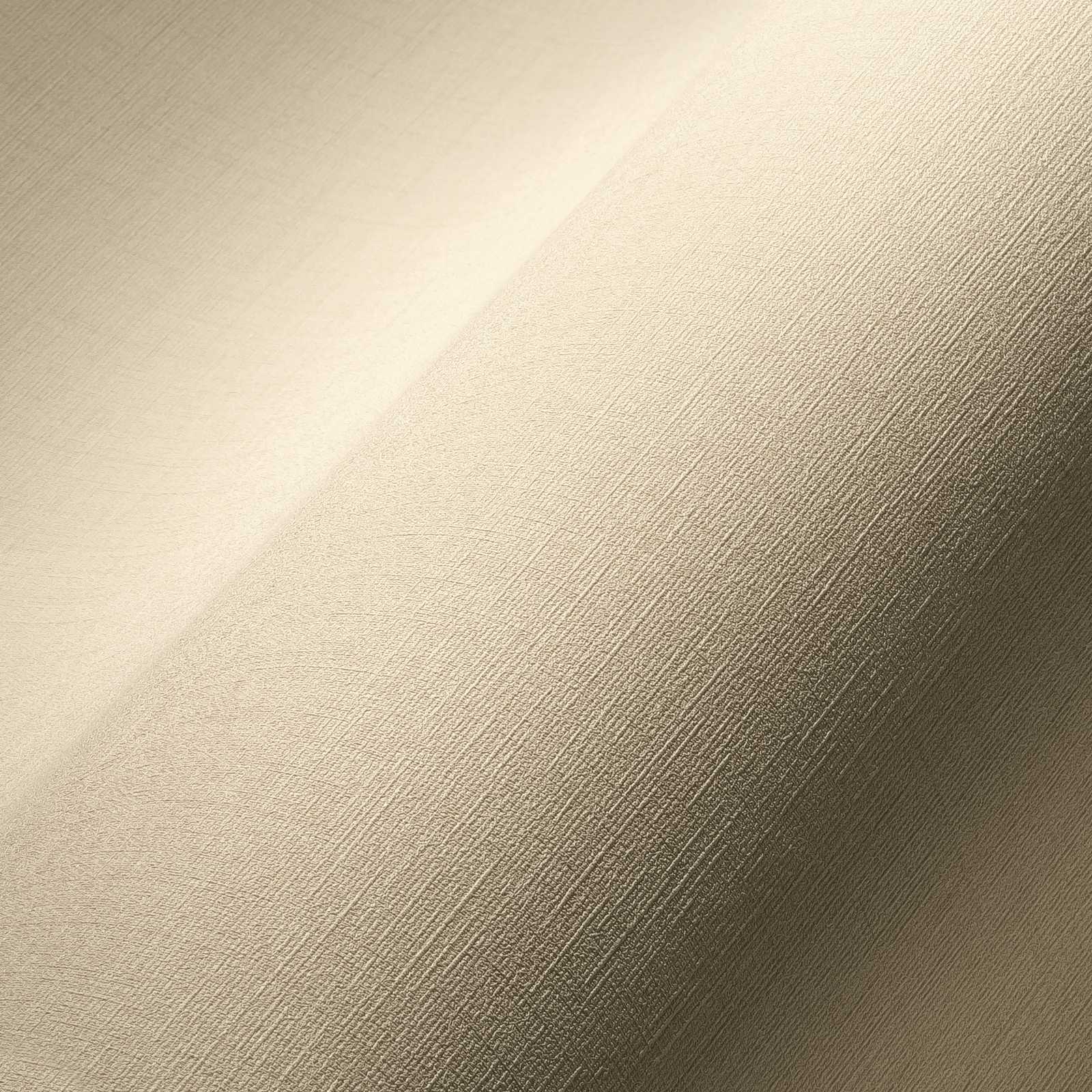             Non-woven wallpaper beige with linen texture, plain & mottled
        