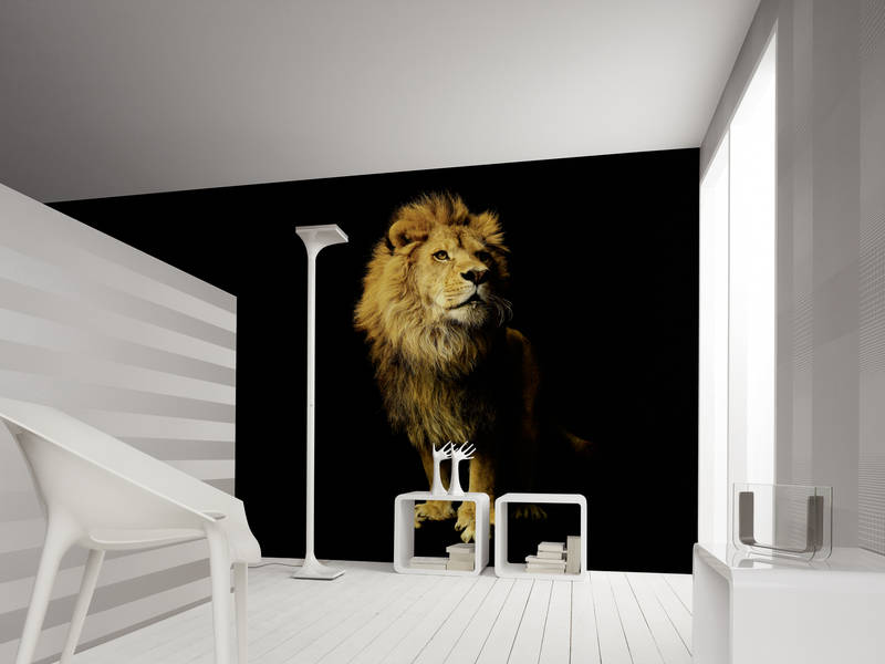             Lions mural against black background on premium smooth fleece
        