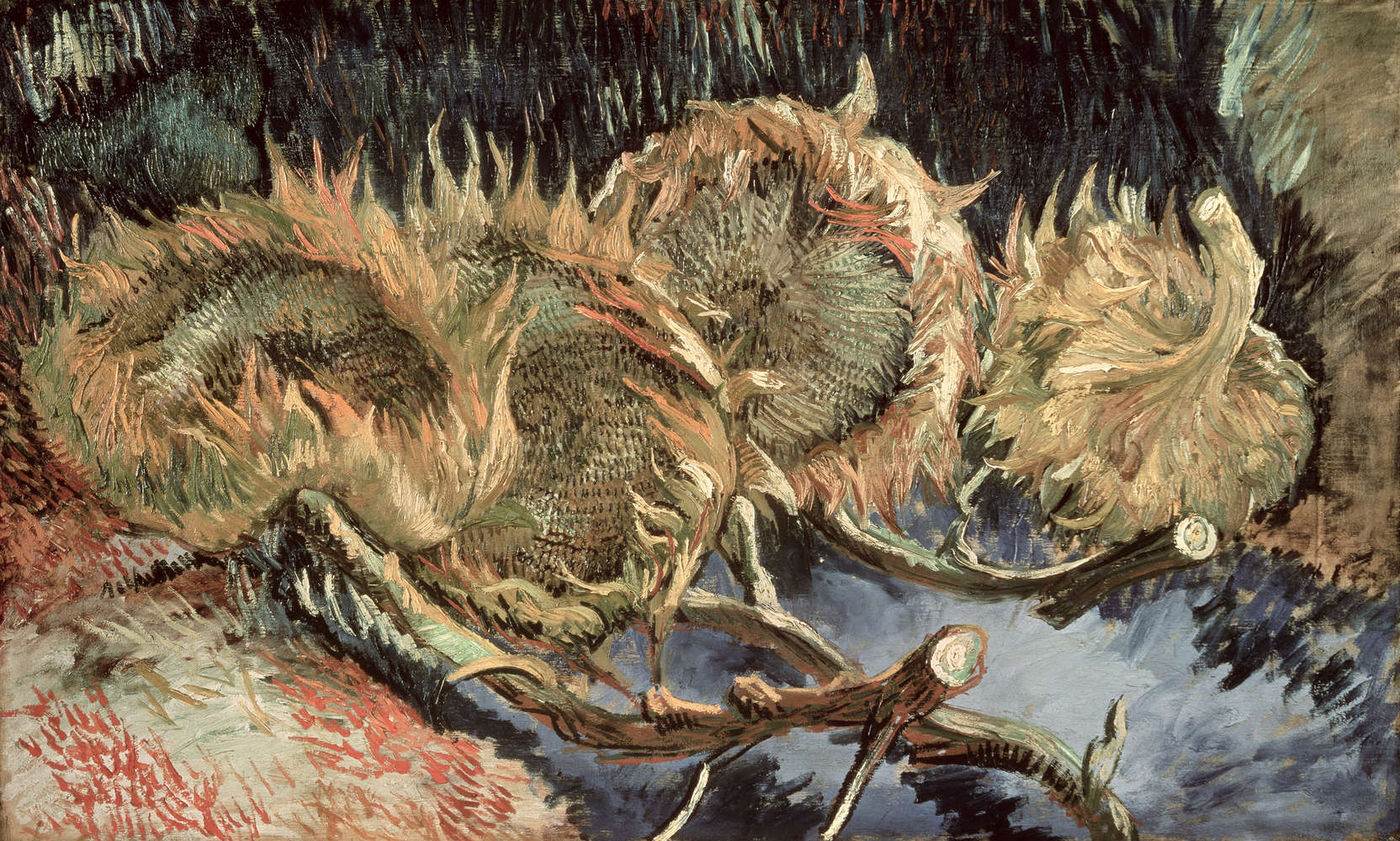             Vier verwelkte zonnebloemen" muurschildering van Vincent van Gogh
        