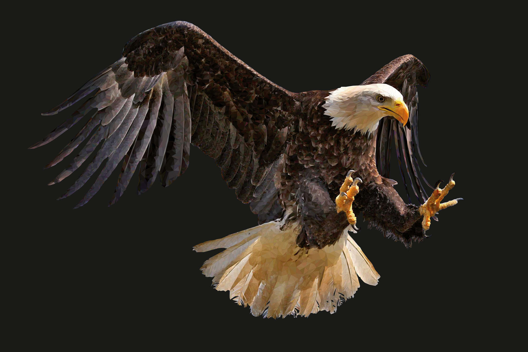             Motivo gráfico de águila en papel pintado sobre vellón liso nacarado
        