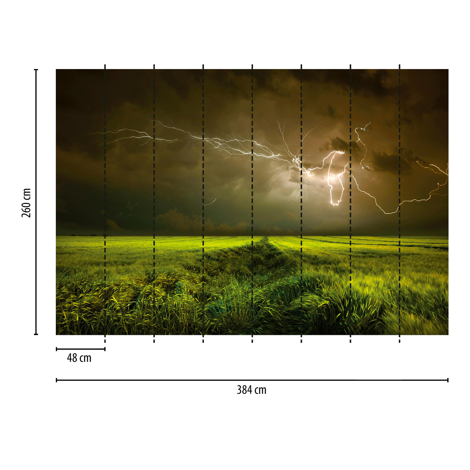             Papier peint panoramique Champ sous l'orage avec éclairs - vert, marron
        