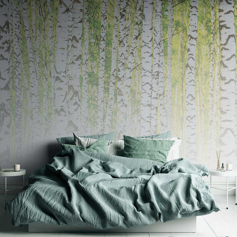 Photo wallpaper with birch forest in linen texture look - green, white, black
