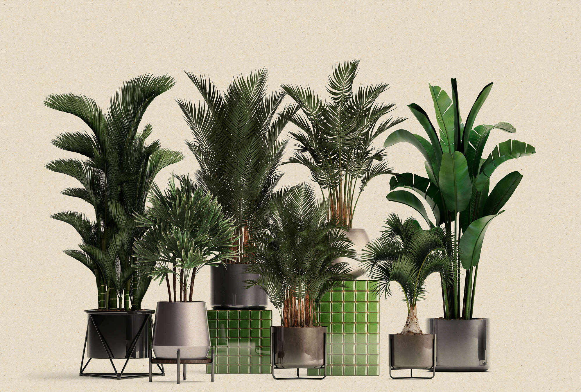             Plantenwinkel 1 - natuur fotobehang potplanten palmen
        