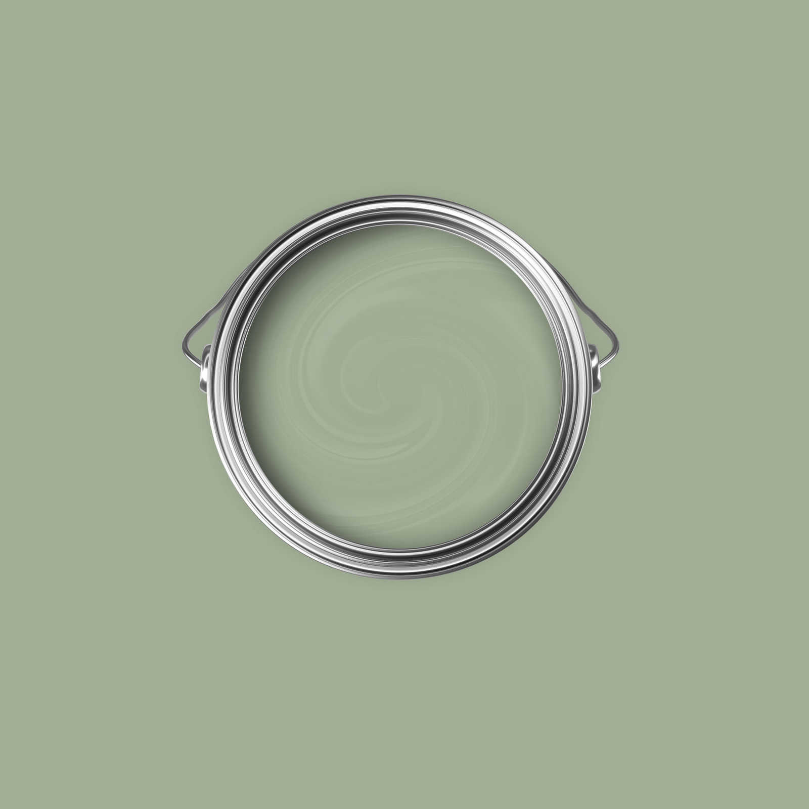             Pintura mural Premium verde oliva terroso »Gorgeous Green« NW502 – 2,5 litro
        