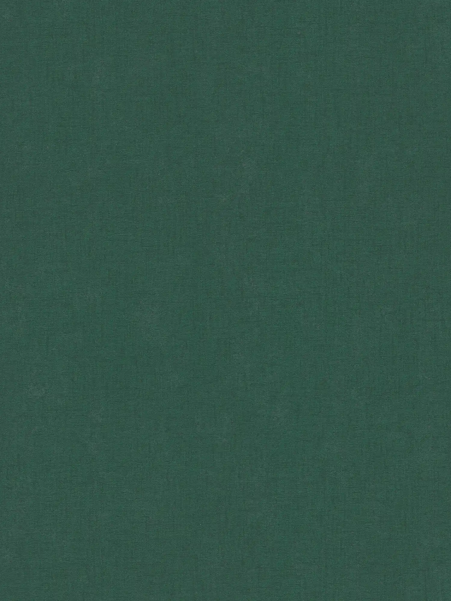 Single-coloured non-woven wallpaper with a light texture - green, dark green
